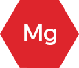 Mag SprzedaĹĽ i magazyn